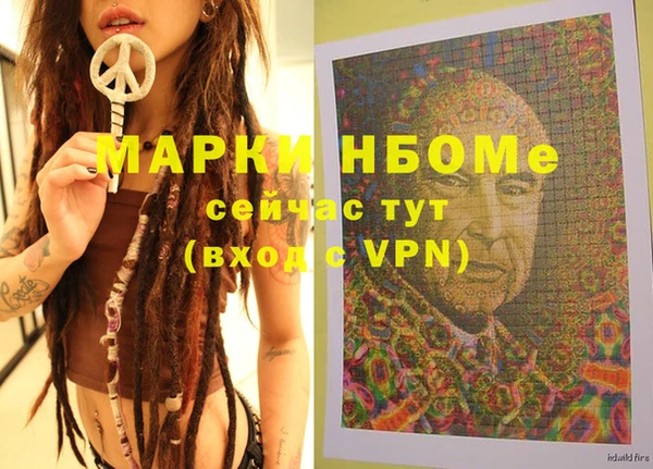 индика Нязепетровск