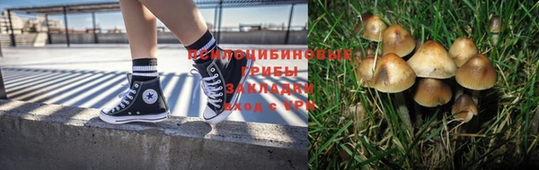 эйфоретик Алзамай