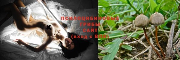 эйфоретик Алзамай