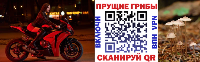 Псилоцибиновые грибы прущие грибы  Апшеронск 